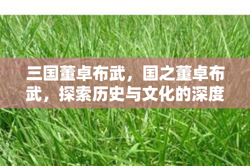 三国董卓布武,国之董卓布武,探索历史与文化的深度交融 三国董卓布武,国之董卓布武,探索历史与文化的深度交融