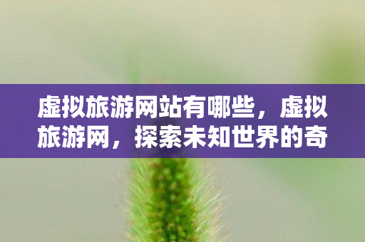 虚拟旅游网站有哪些,虚拟旅游网,探索未知世界的奇妙之旅 虚拟旅游网站有哪些,虚拟旅游网,探索未知世界的奇妙之旅