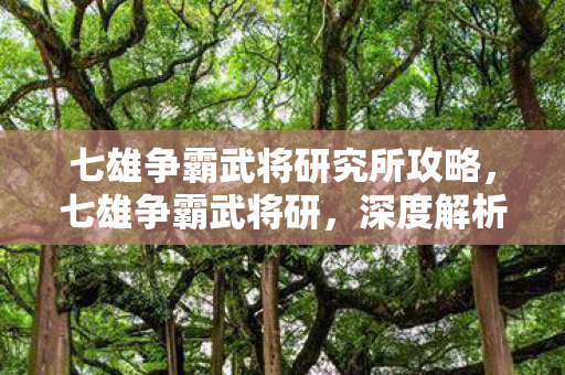 七雄争霸武将研究所攻略,七雄争霸武将研,深度解析武将培养策略 七雄争霸武将研究所攻略,七雄争霸武将研,深度解析武将培养策略
