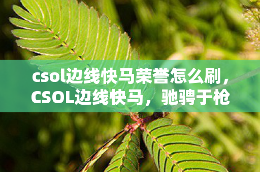 csol边线快马荣誉怎么刷,CSOL边线快马,驰骋于枪林弹雨的竞技舞台 csol边线快马荣誉怎么刷,CSOL边线快马,驰骋于枪林弹雨的竞技舞台
