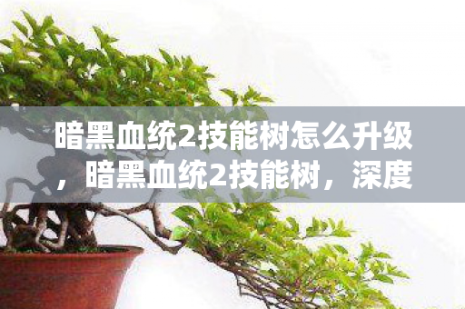 暗黑血统2技能树怎么升级，暗黑血统2技能树，深度解析与策略指南