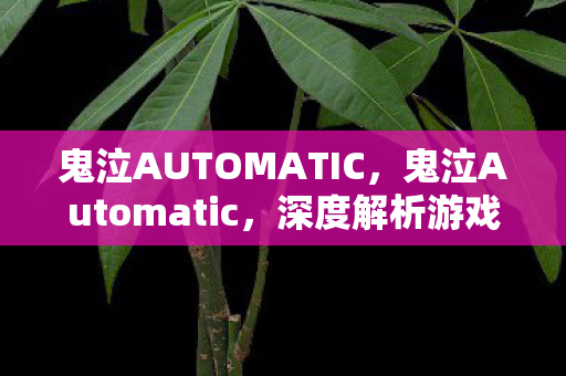 鬼泣AUTOMATIC，鬼泣Automatic，深度解析游戏自动化工具的魅力与挑战