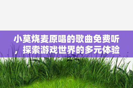 小莫烧麦原唱的歌曲免费听,探索游戏世界的多元体验,私服与官网的异同解析 小莫烧麦原唱的歌曲免费听,探索游戏世界的多元体验,私服与官网的异同解析