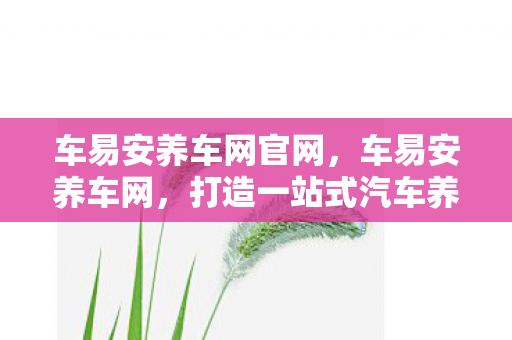 车易安养车网官网,车易安养车网,打造一站式汽车养护新体验 车易安养车网官网,车易安养车网,打造一站式汽车养护新体验