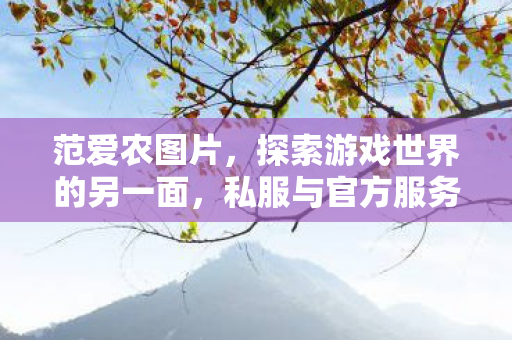 范爱农图片,探索游戏世界的另一面,私服与官方服务器的独特魅力 范爱农图片,探索游戏世界的另一面,私服与官方服务器的独特魅力