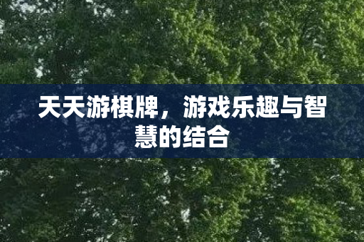 天天游棋牌，游戏乐趣与智慧的结合
