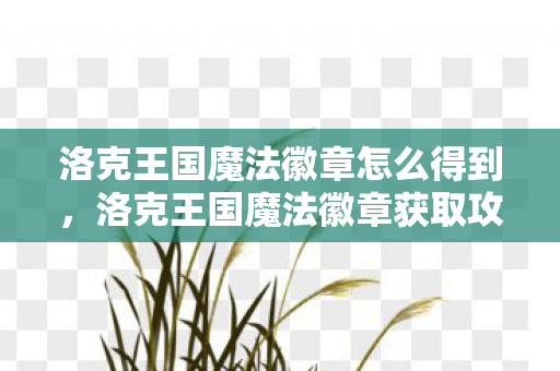 洛克王国魔法徽章怎么得到,洛克王国魔法徽章获取攻略 洛克王国魔法徽章怎么得到,洛克王国魔法徽章获取攻略