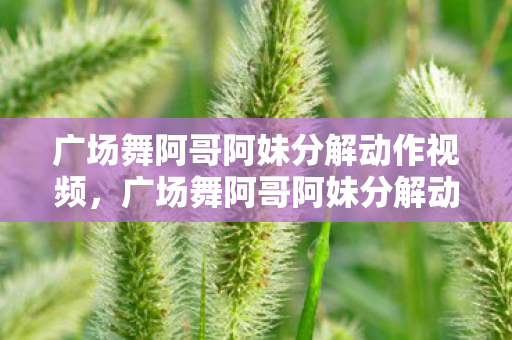 广场舞阿哥阿妹分解动作视频，广场舞阿哥阿妹分解动作详解
