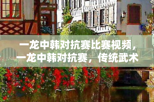 一龙中韩对抗赛比赛视频,一龙中韩对抗赛,传统武术与现代搏击的跨界碰撞 一龙中韩对抗赛比赛视频,一龙中韩对抗赛,传统武术与现代搏击的跨界碰撞