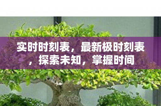 实时时刻表,最新极时刻表,探索未知,掌握时间 实时时刻表,最新极时刻表,探索未知,掌握时间