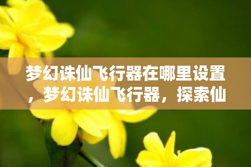 梦幻诛仙飞行器在哪里设置,梦幻诛仙飞行器,探索仙侠世界的空中奇旅 梦幻诛仙飞行器在哪里设置,梦幻诛仙飞行器,探索仙侠世界的空中奇旅