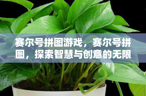 赛尔号拼图游戏,赛尔号拼图,探索智慧与创意的无限可能 赛尔号拼图游戏,赛尔号拼图,探索智慧与创意的无限可能