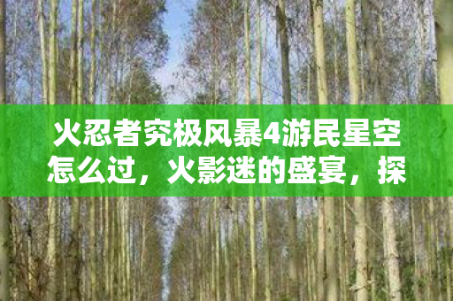 火忍者究极风暴4游民星空怎么过,火影迷的盛宴,探索火影忍者,究极风暴4的游民星空之旅 火忍者究极风暴4游民星空怎么过,火影迷的盛宴,探索火影忍者,究极风暴4的游民星空之旅