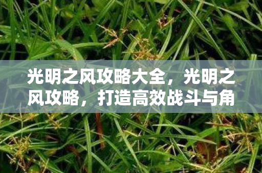 光明之风攻略大全,光明之风攻略,打造高效战斗与角色发展的全面指南 光明之风攻略大全,光明之风攻略,打造高效战斗与角色发展的全面指南