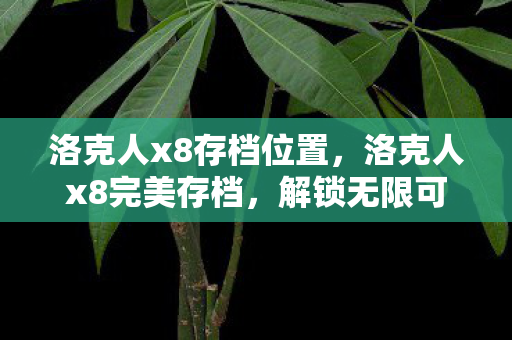洛克人x8存档位置,洛克人x8完美存档,解锁无限可能的冒险之旅 洛克人x8存档位置,洛克人x8完美存档,解锁无限可能的冒险之旅