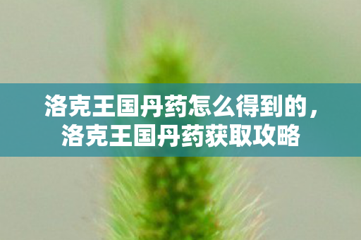洛克王国丹药怎么得到的,洛克王国丹药获取攻略 洛克王国丹药怎么得到的,洛克王国丹药获取攻略