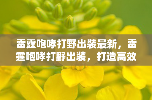 雷霆咆哮打野出装最新,雷霆咆哮打野出装,打造高效野区统治力 雷霆咆哮打野出装最新,雷霆咆哮打野出装,打造高效野区统治力