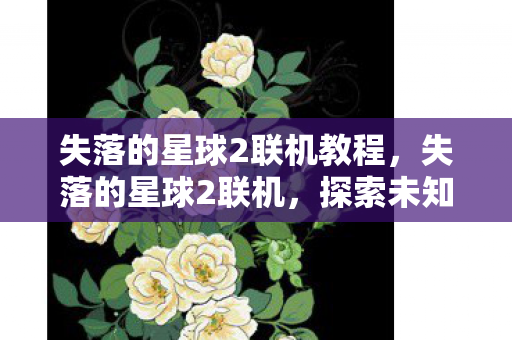 失落的星球2联机教程，失落的星球2联机，探索未知星域，与好友并肩作战