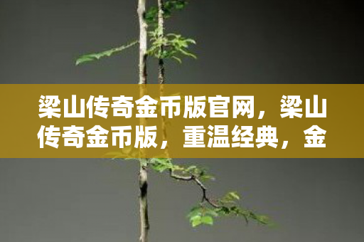 梁山传奇金币版官网,梁山传奇金币版,重温经典,金币助力畅游江湖 梁山传奇金币版官网,梁山传奇金币版,重温经典,金币助力畅游江湖