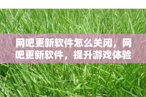 网吧更新软件怎么关闭,网吧更新软件,提升游戏体验,保障运营安全 网吧更新软件怎么关闭,网吧更新软件,提升游戏体验,保障运营安全