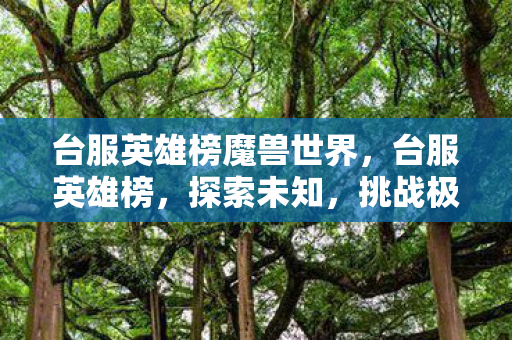 台服英雄榜魔兽世界,台服英雄榜,探索未知,挑战极限 台服英雄榜魔兽世界,台服英雄榜,探索未知,挑战极限
