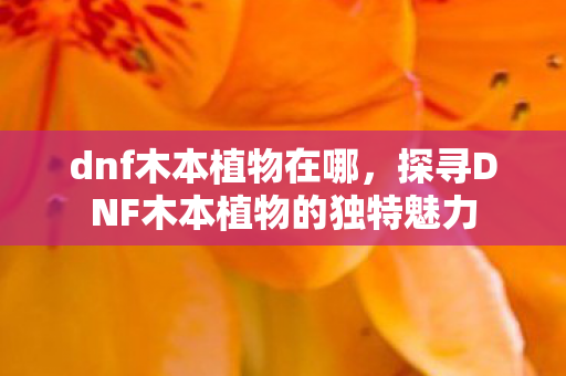 dnf木本植物在哪，探寻DNF木本植物的独特魅力