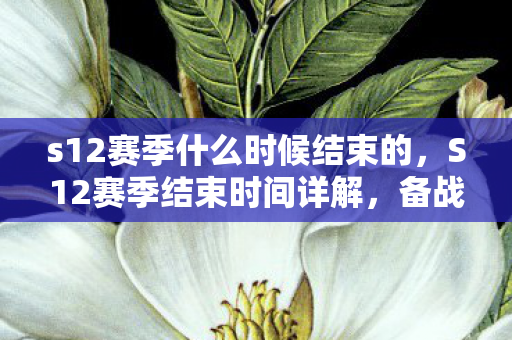 s12赛季什么时候结束的,S12赛季结束时间详解,备战新赛季,你准备好了吗? s12赛季什么时候结束的,S12赛季结束时间详解,备战新赛季,你准备好了吗?