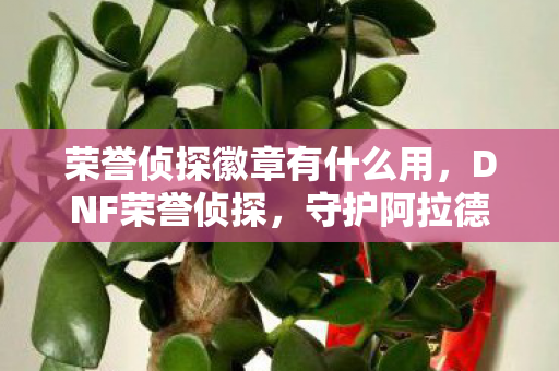 荣誉侦探徽章有什么用,DNF荣誉侦探,守护阿拉德大陆的正义之眼 荣誉侦探徽章有什么用,DNF荣誉侦探,守护阿拉德大陆的正义之眼