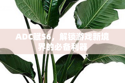 ADC赋S6,解锁游戏新境界的必备利器 ADC赋S6,解锁游戏新境界的必备利器