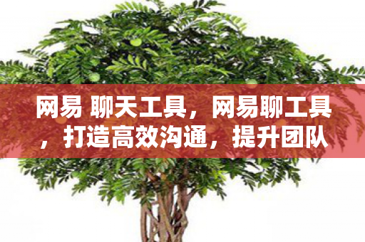网易 聊天工具,网易聊工具,打造高效沟通,提升团队协作 网易 聊天工具,网易聊工具,打造高效沟通,提升团队协作