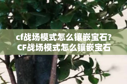 cf战场模式怎么镶嵌宝石?CF战场模式怎么镶嵌宝石 cf战场模式怎么镶嵌宝石?CF战场模式怎么镶嵌宝石