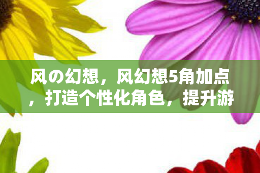 风の幻想,风幻想5角加点,打造个性化角色,提升游戏战斗力的关键 风の幻想,风幻想5角加点,打造个性化角色,提升游戏战斗力的关键