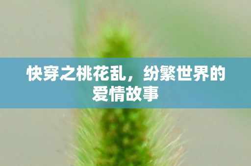 快穿之桃花乱,纷繁世界的爱情故事 快穿之桃花乱,纷繁世界的爱情故事