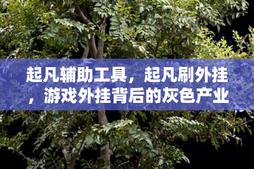 起凡辅助工具,起凡刷外挂,游戏外挂背后的灰色产业链 起凡辅助工具,起凡刷外挂,游戏外挂背后的灰色产业链