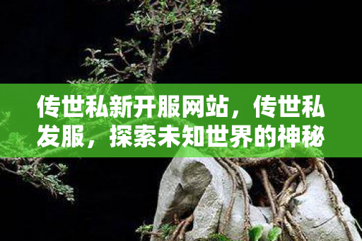 传世私新开服网站，传世私发服，探索未知世界的神秘钥匙