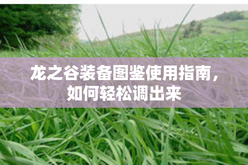 龙之谷装备图鉴使用指南,如何轻松调出来 龙之谷装备图鉴使用指南,如何轻松调出来