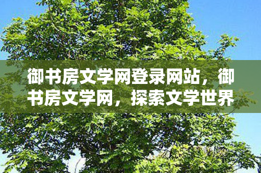 探索文学世界的奇妙之旅图片