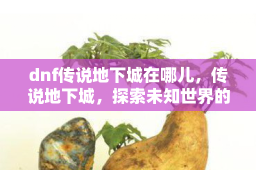 dnf传说地下城在哪儿,传说地下城,探索未知世界的奇幻之旅 dnf传说地下城在哪儿,传说地下城,探索未知世界的奇幻之旅