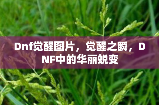 Dnf觉醒图片，觉醒之瞬，DNF中的华丽蜕变
