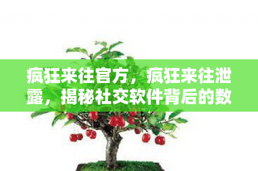 疯狂来往官方，疯狂来往泄露，揭秘社交软件背后的数据泄露风险