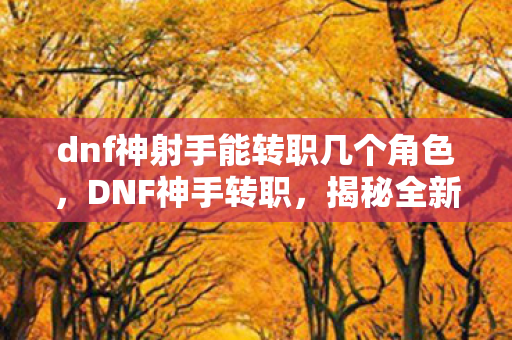 dnf神射手能转职几个角色，DNF神手转职，揭秘全新职业千手罗汉的崛起之路