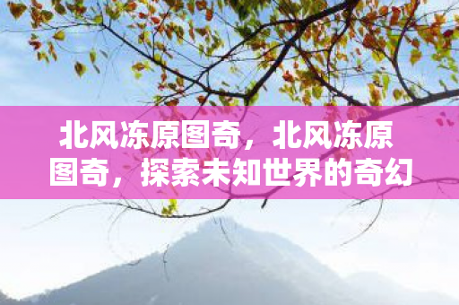 北风冻原图奇，北风冻原 图奇，探索未知世界的奇幻之旅