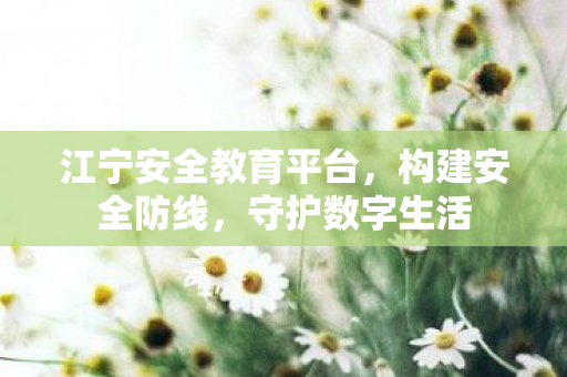 江宁安全教育平台,构建安全防线,守护数字生活 江宁安全教育平台,构建安全防线,守护数字生活