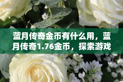 蓝月传奇金币有什么用，蓝月传奇1.76金币，探索游戏经济系统的奥秘