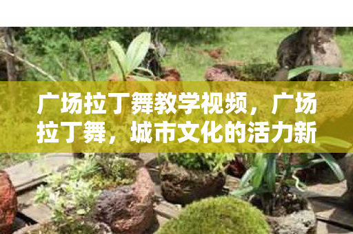 广场拉丁舞教学视频,广场拉丁舞,城市文化的活力新篇章 广场拉丁舞教学视频,广场拉丁舞,城市文化的活力新篇章