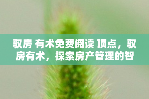 驭房 有术免费阅读 顶点，驭房有术，探索房产管理的智慧之道