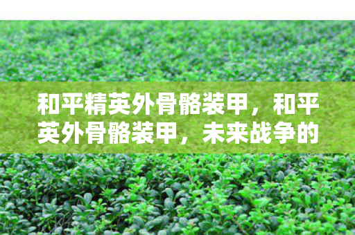 和平精英外骨骼装甲，和平英外骨骼装甲，未来战争的新篇章