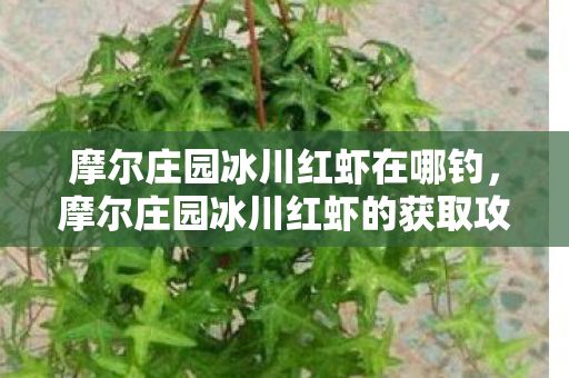 摩尔庄园冰川红虾在哪钓,摩尔庄园冰川红虾的获取攻略 摩尔庄园冰川红虾在哪钓,摩尔庄园冰川红虾的获取攻略