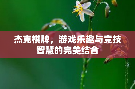 杰克棋牌，游戏乐趣与竞技智慧的完美结合