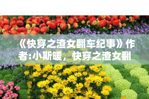 《快穿之渣女翻车纪事》作者:小斯暖,快穿之渣女翻车纪事 《快穿之渣女翻车纪事》作者:小斯暖,快穿之渣女翻车纪事